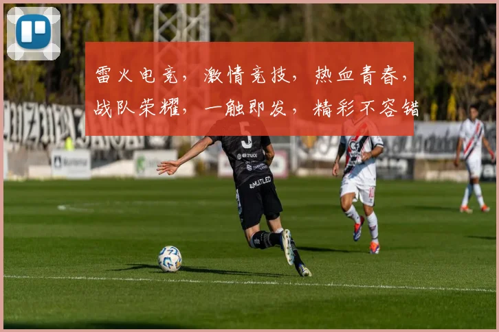 雷火电竞，激情竞技，热血青春，战队荣耀，一触即发，精彩不容错过