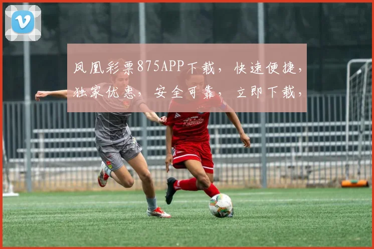 凤凰彩票875APP下载，快速便捷，独家优惠，安全可靠，立即下载，赢取丰厚奖金，三重惊喜等你来