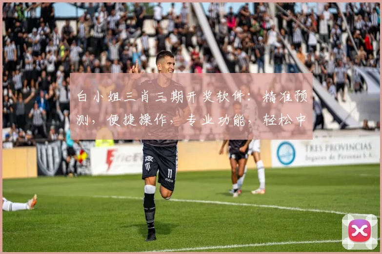 白小姐三肖三期开奖软件：精准预测，便捷操作，专业功能，轻松中奖两不误