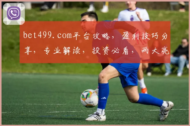 bet499.com平台攻略，盈利技巧分享，专业解读，投资必看，两大亮点揭秘